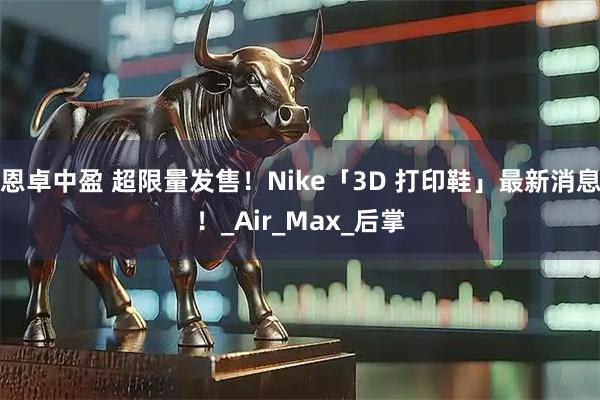 恩卓中盈 超限量发售！Nike「3D 打印鞋」最新消息！_Air_Max_后掌