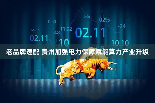老品牌速配 贵州加强电力保障赋能算力产业升级