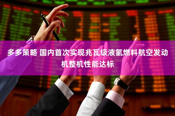 多多策略 国内首次实现兆瓦级液氢燃料航空发动机整机性能达标