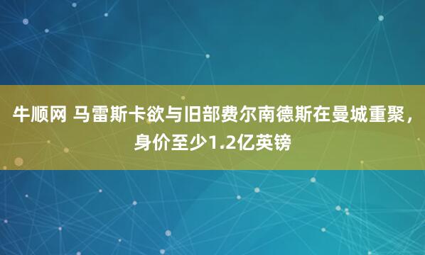牛顺网 马雷斯卡欲与旧部费尔南德斯在曼城重聚，身价至少1.2亿英镑